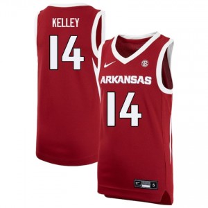 Ayden Kelley Arkansas Official #14 College Basketball Mens Jerseys - Cardinal