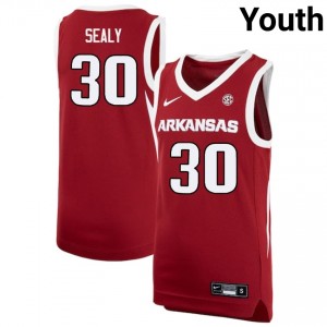 Isaiah Sealy Arkansas Razorbacks Youth 2025-26 #30 College Basketball Jerseys - Cardinal