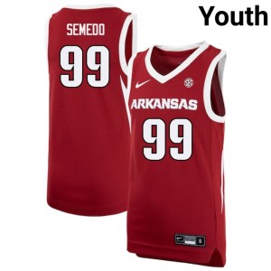 Paulo Semedo Razorbacks #99 College Basketball Alumni Youth Jerseys - Cardinal